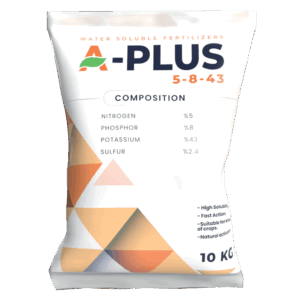 A-PLUS  5-8-43 🇹🇼