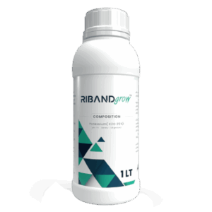 RIBAND  GROW 🇪🇸