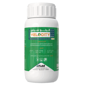 VELOCITY 🇮🇳