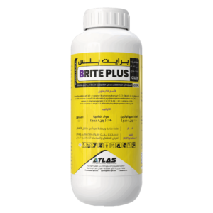 BRITE PLUS 🇨🇳