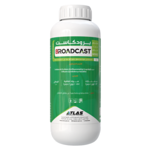 بـرودكـاســت 🇨🇳