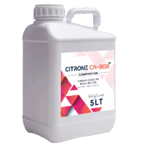 سترون كا-بور 🇹🇷