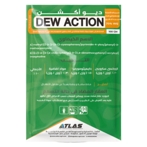 ديـو اكـشـن 🇨🇳