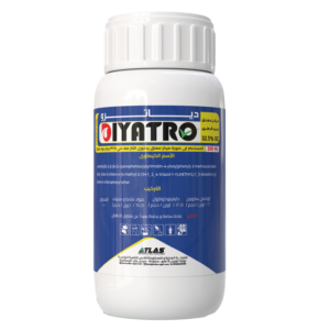 ديــــــاتــــــرو 🇨🇳