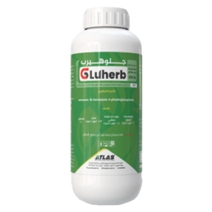 جلوهيرب 🇨🇳