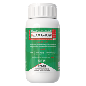 هيكسـاجرو 🇹🇷