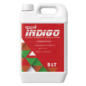 انــديــجــو 🇨🇳