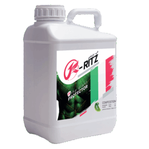 كــي رايتس 🇮🇹