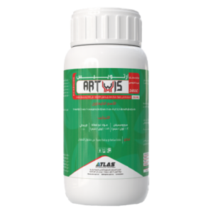 ارتويـيـس 🇹🇷