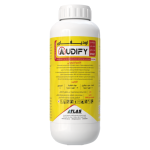 اوديـفـاي 🇮🇳