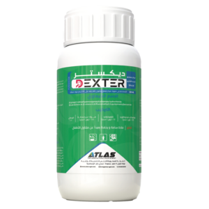 ديـكـسـتـر 🇨🇳