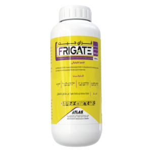 فراي جـيـت 🇨🇳