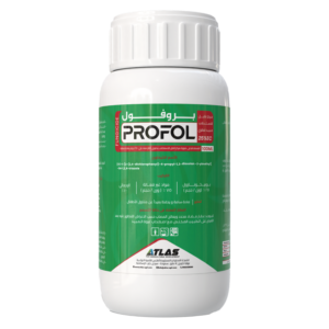 بــروفـــول 🇨🇳